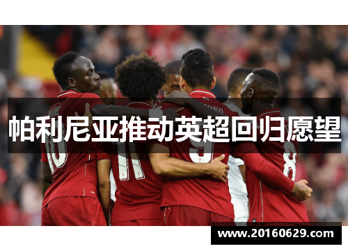 帕利尼亚推动英超回归愿望